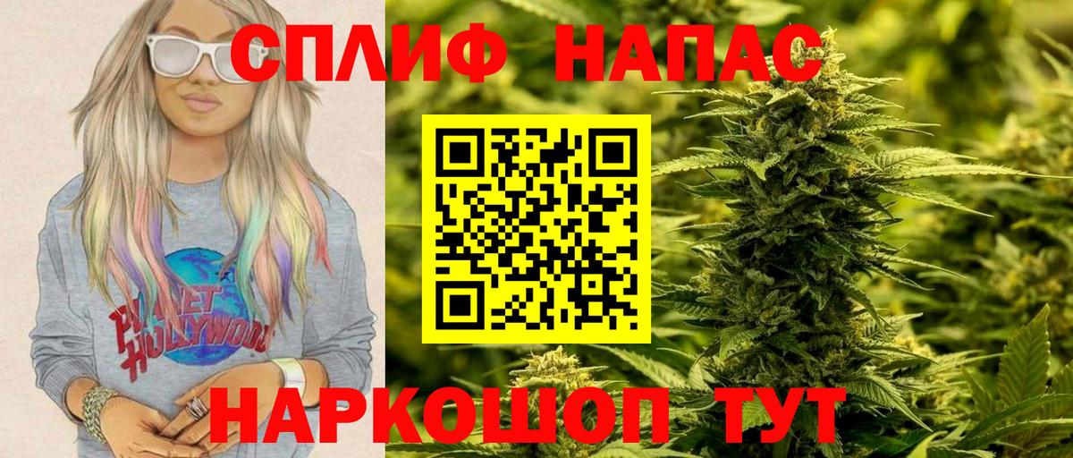 Каннабис план Ульяновск